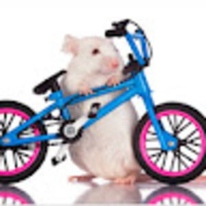 Meet your Posher, Cathy